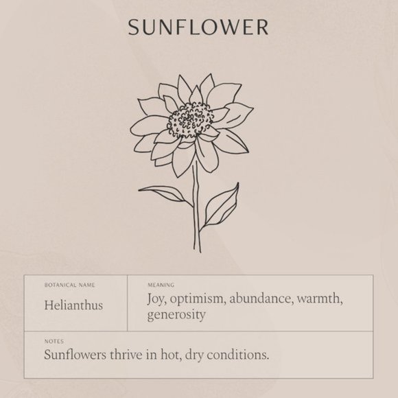 Sunflower Engraved Cute Floral Minimalist Necklace - Picture 6 of 16